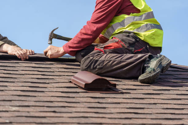 Best Roof Gutter Cleaning  in Toronto, OH