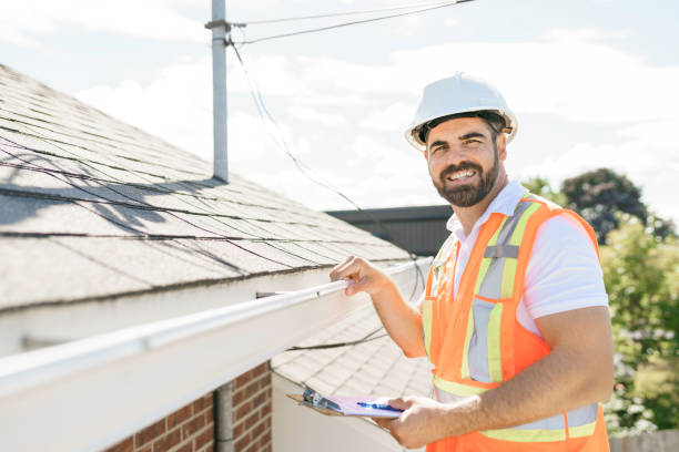 Roof Gutter Cleaning